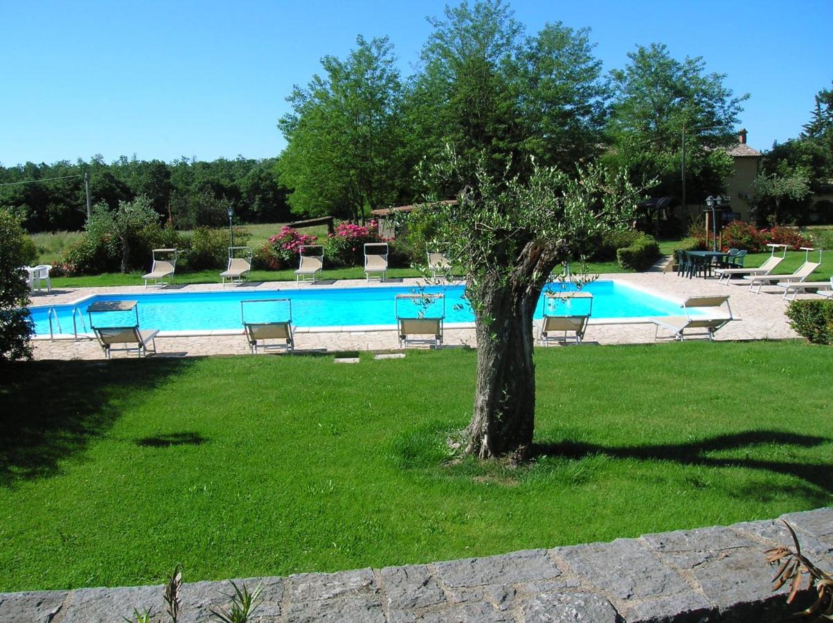 Agriturismo Buonasera Bagnoregio Bagian luar foto